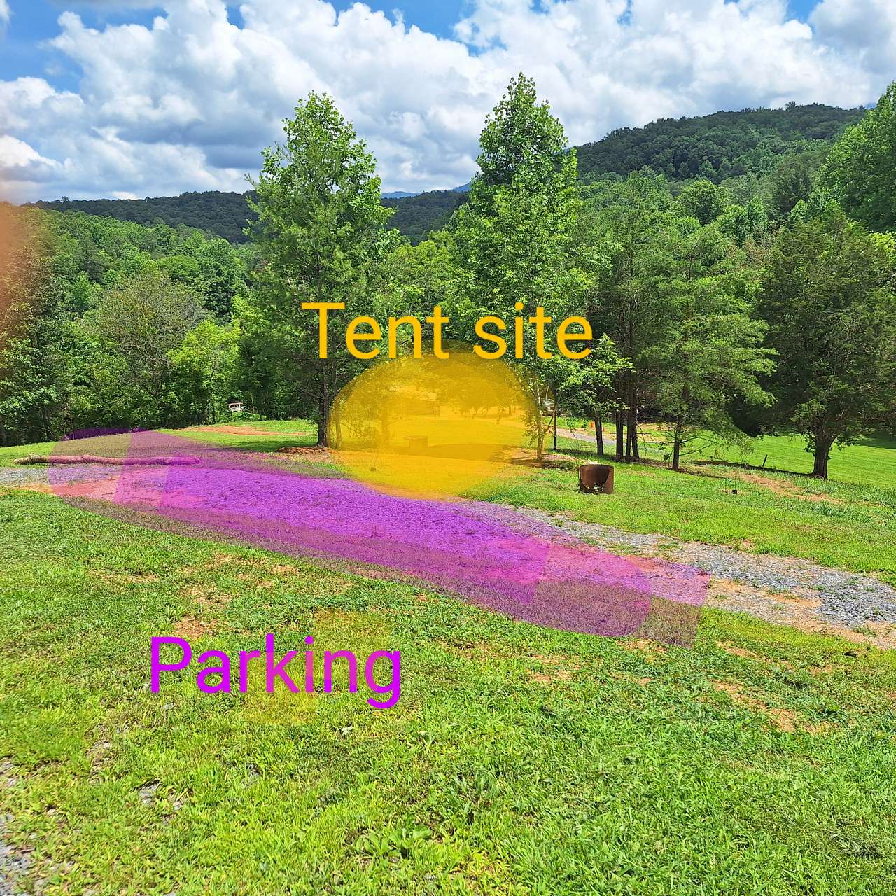 Picture of the site