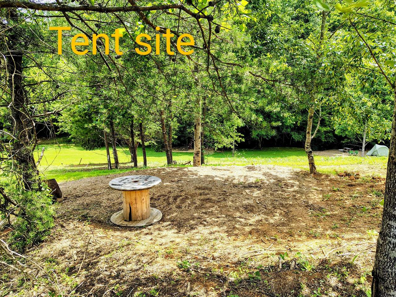 Picture of the site