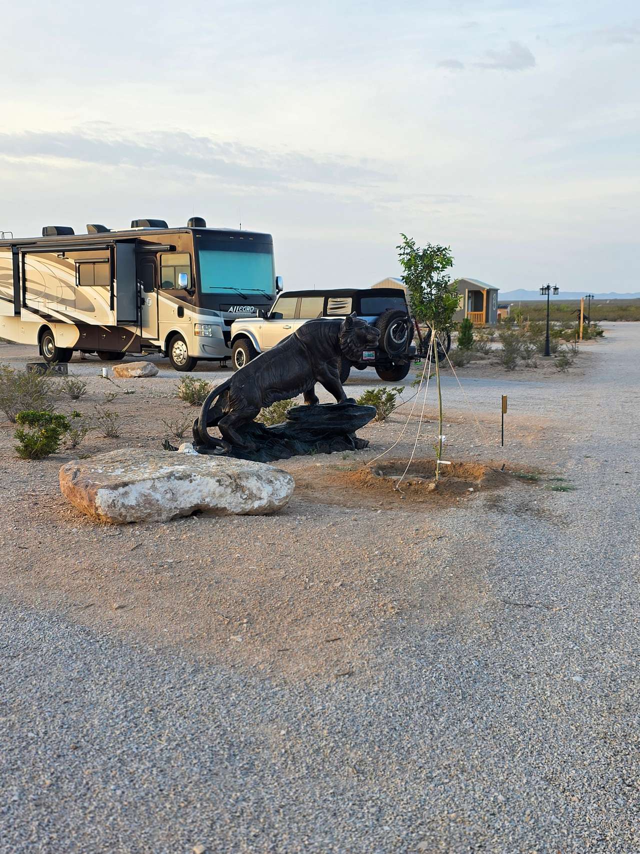 Picture of the site