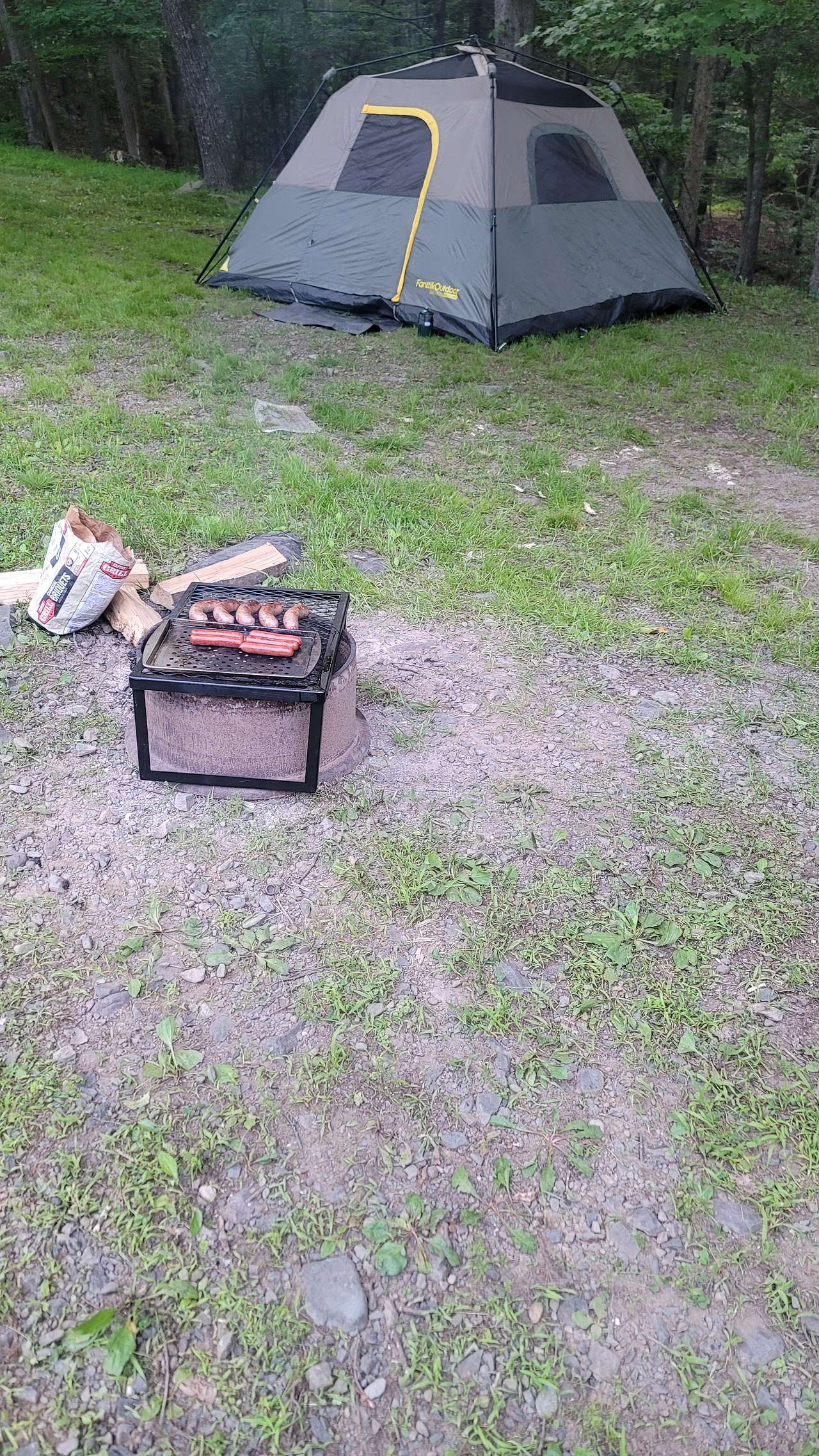 Picture of the site