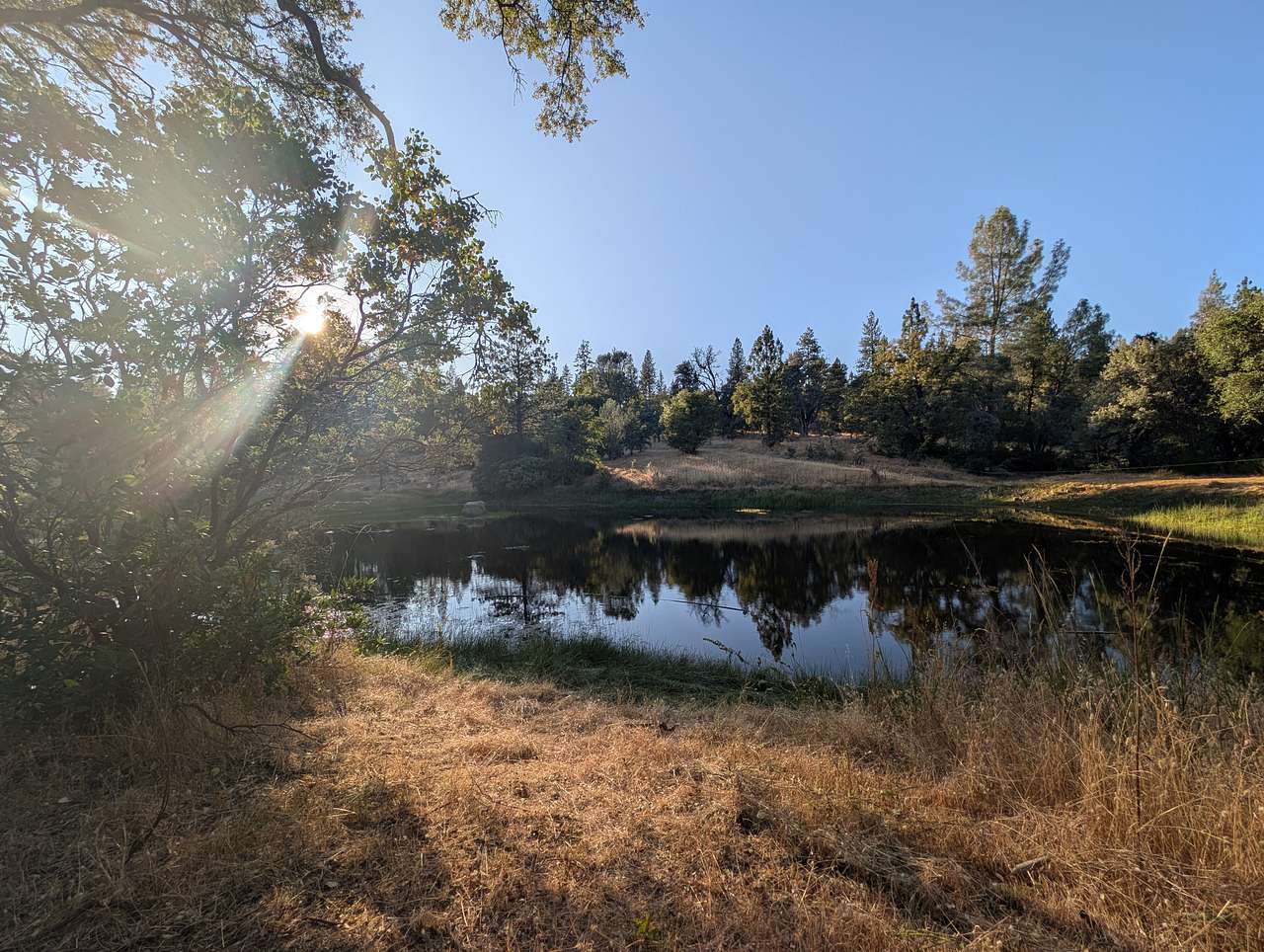 Picture of the site