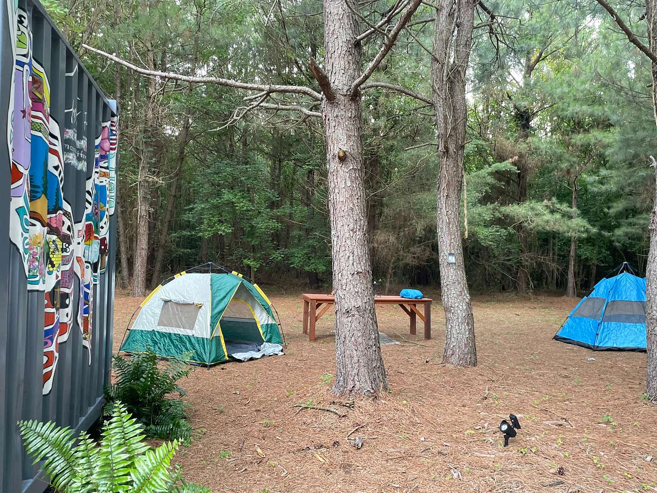 Picture of the site