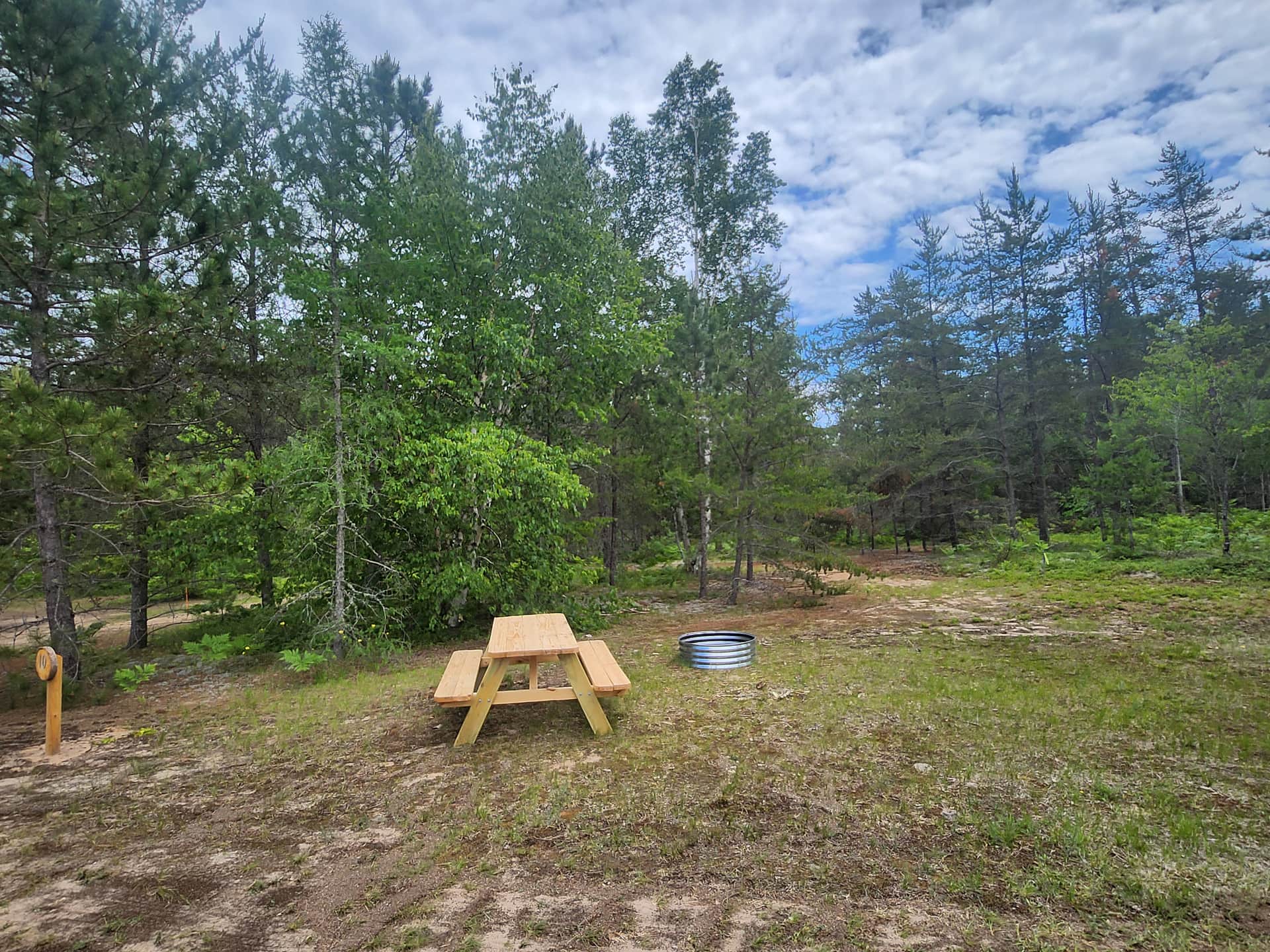 Picture of the site