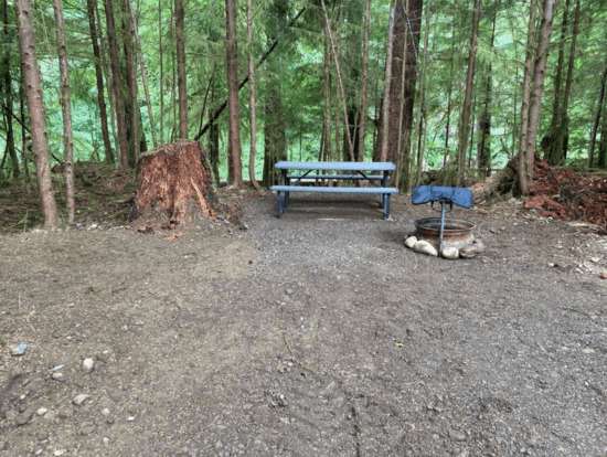 Picture of the site