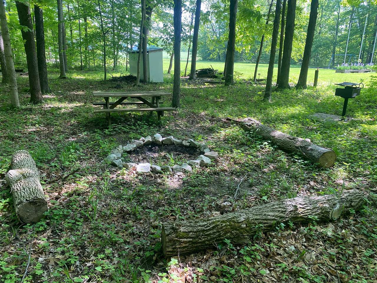 Picture of the site