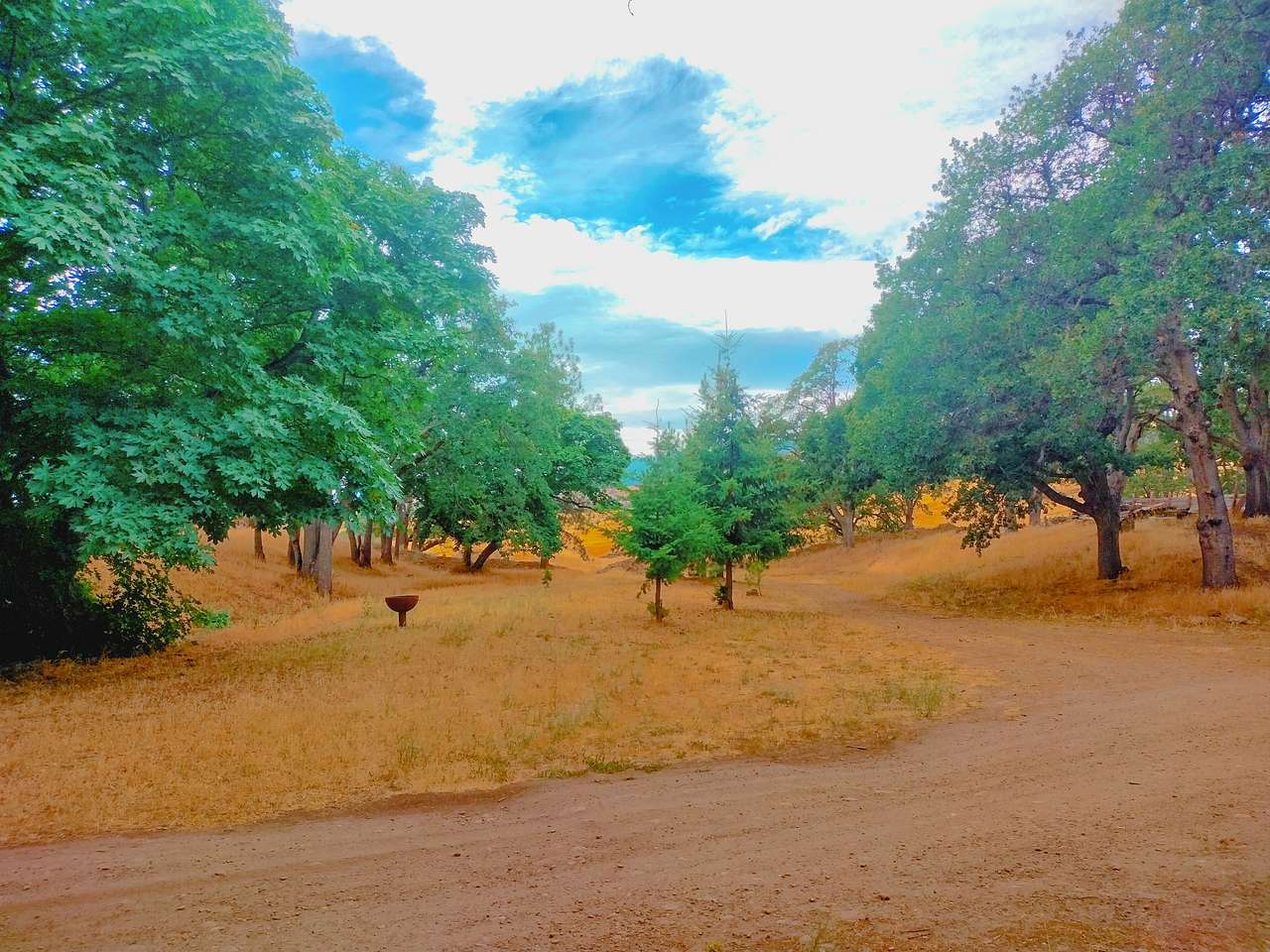 Picture of the site