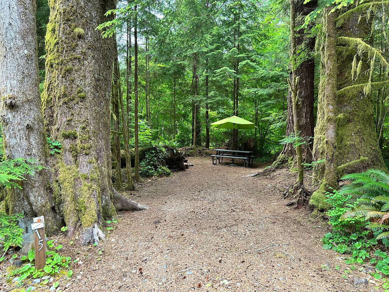 Picture of the site