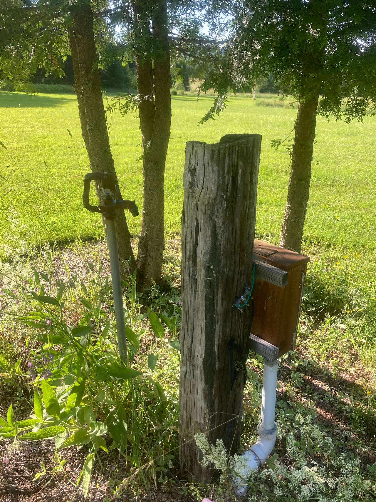 Picture of the site