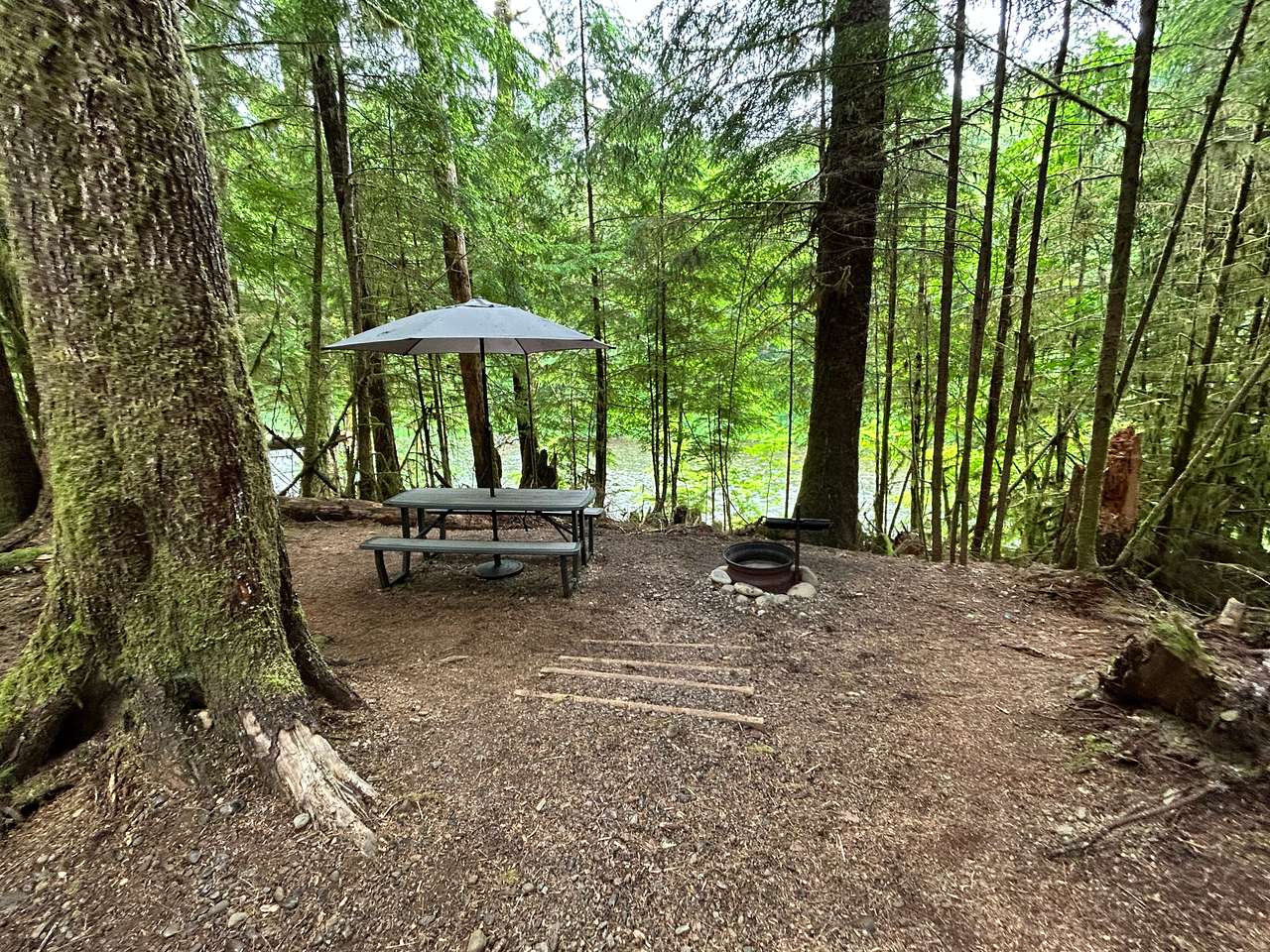 Picture of the site