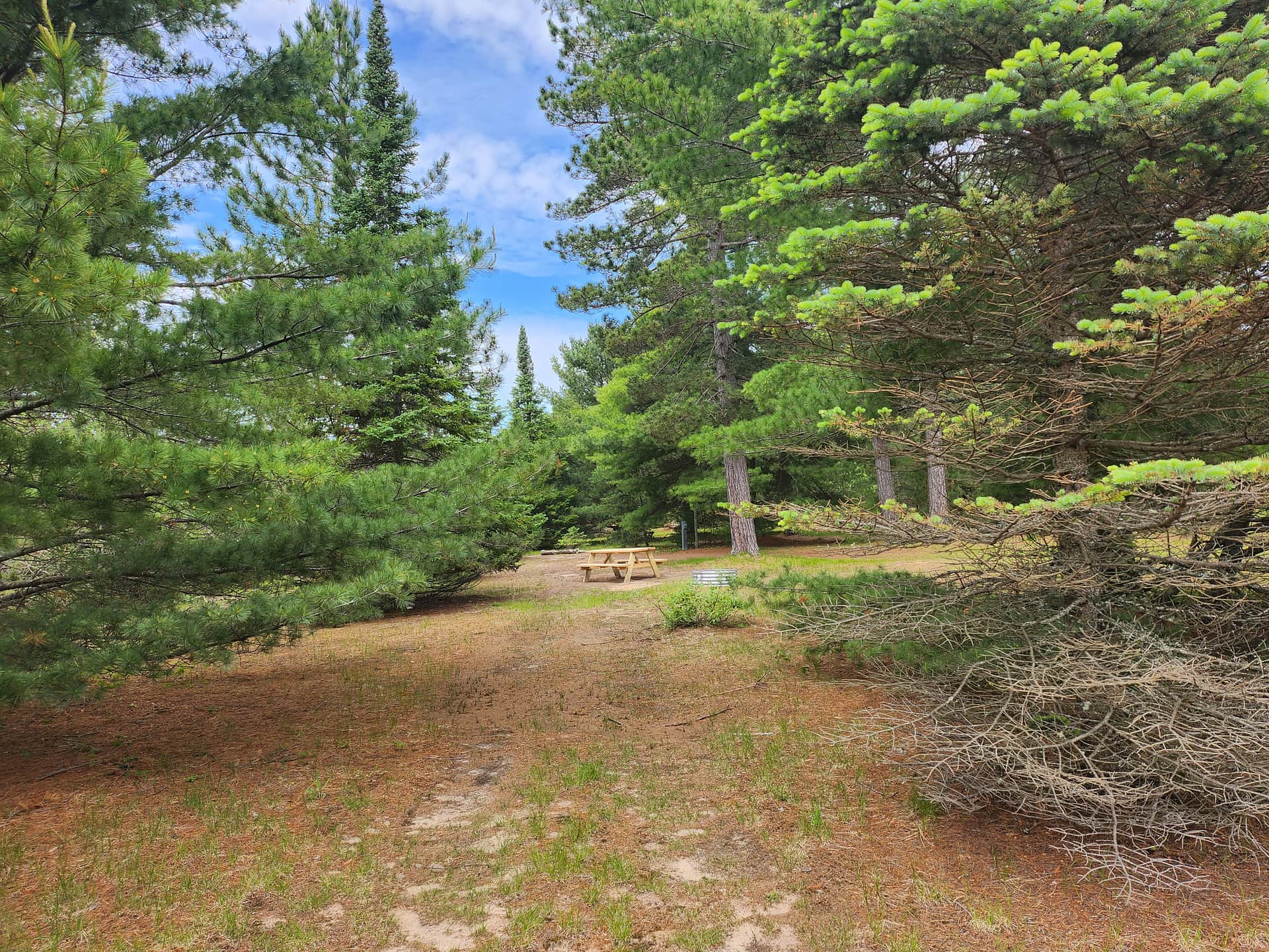 Picture of the site