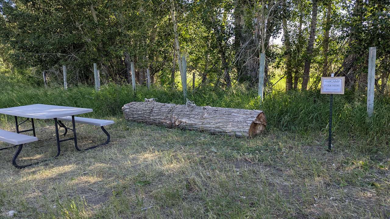 Picture of the site