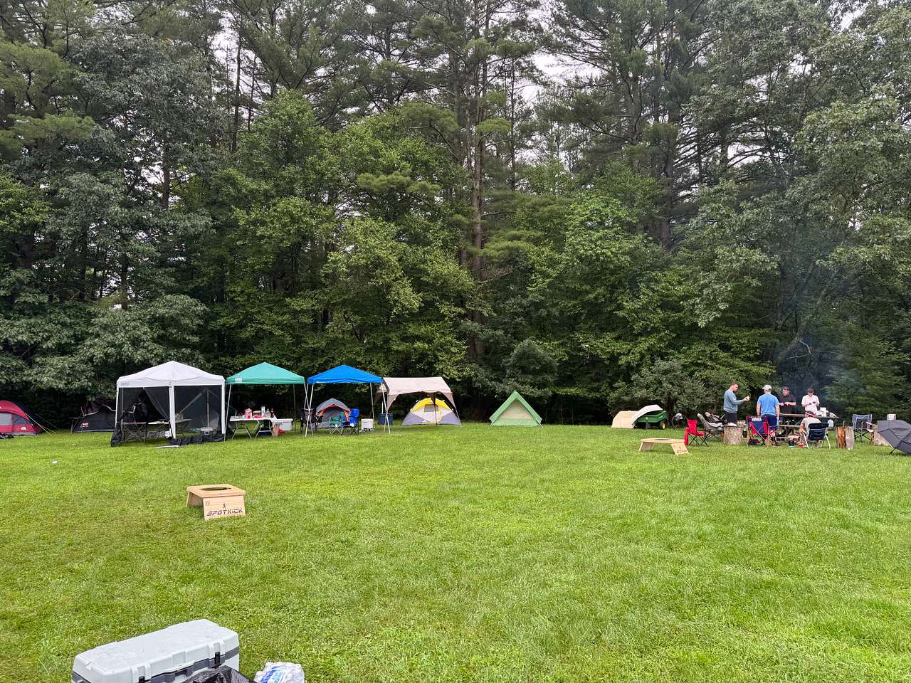 Picture of the site