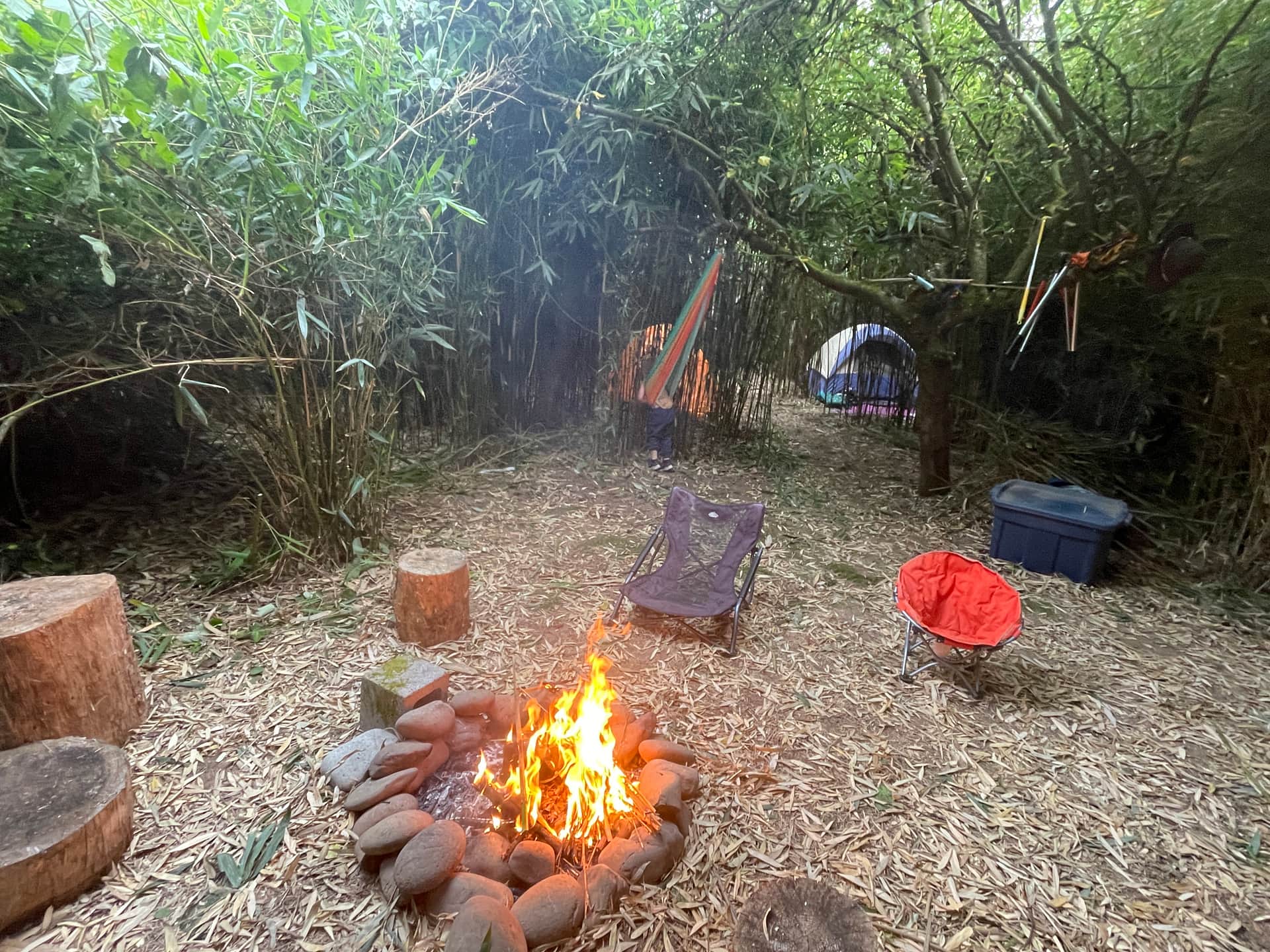 Picture of the site