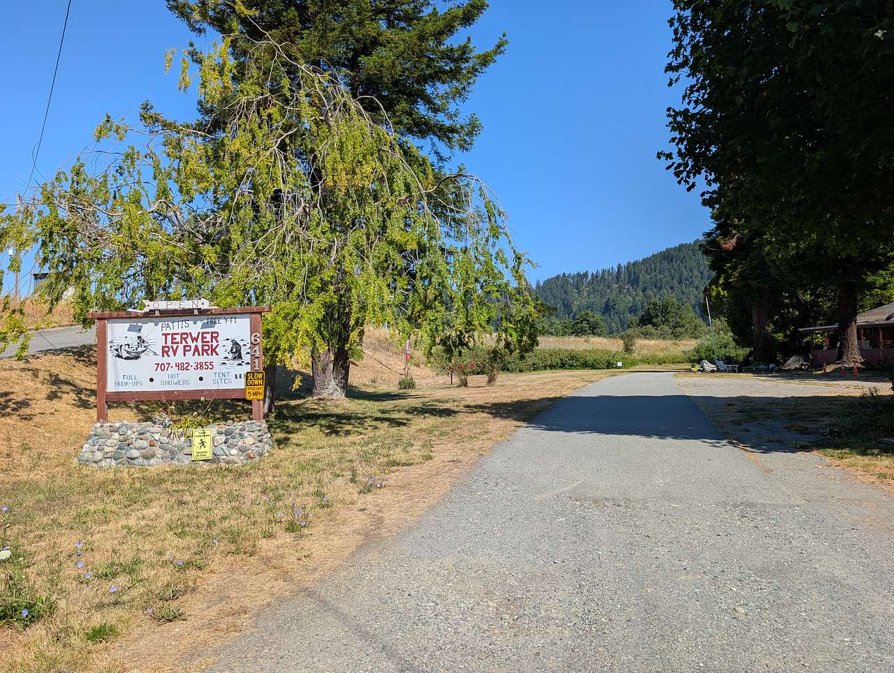 Picture of the site