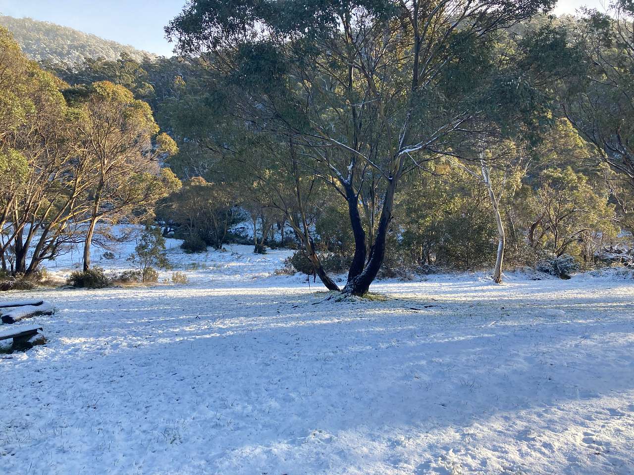 Picture of the site