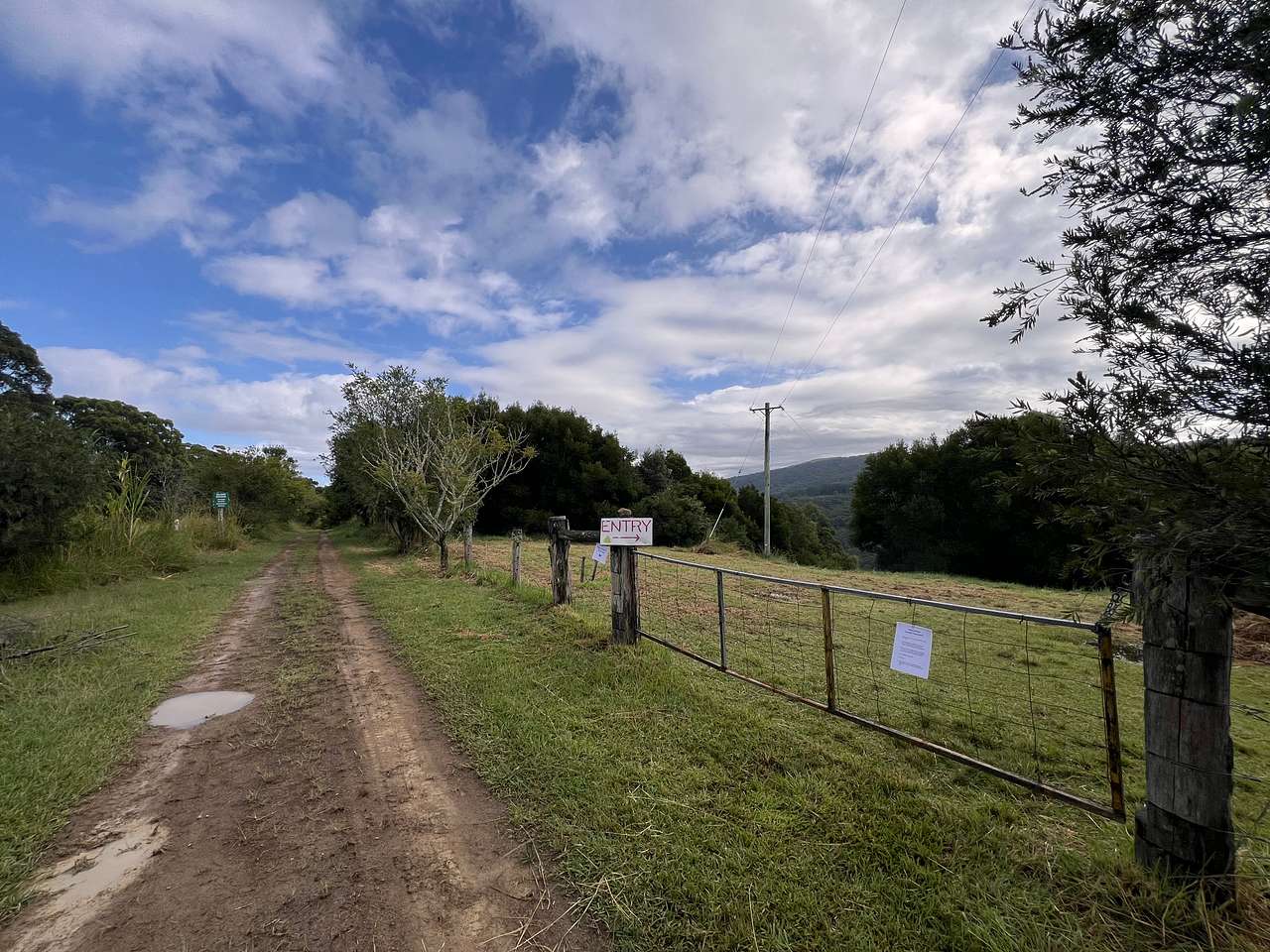 Picture of the site