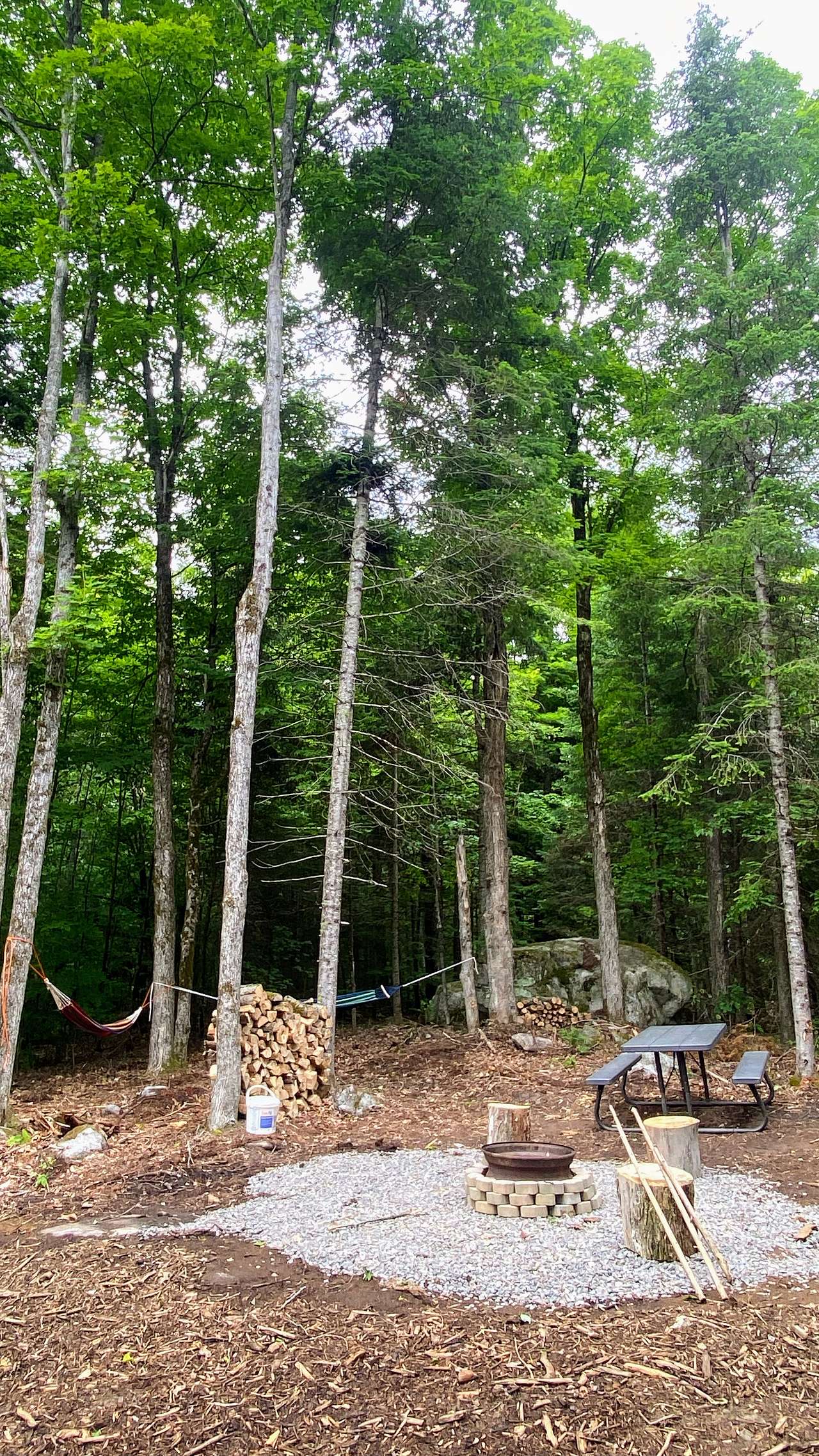 Picture of the site