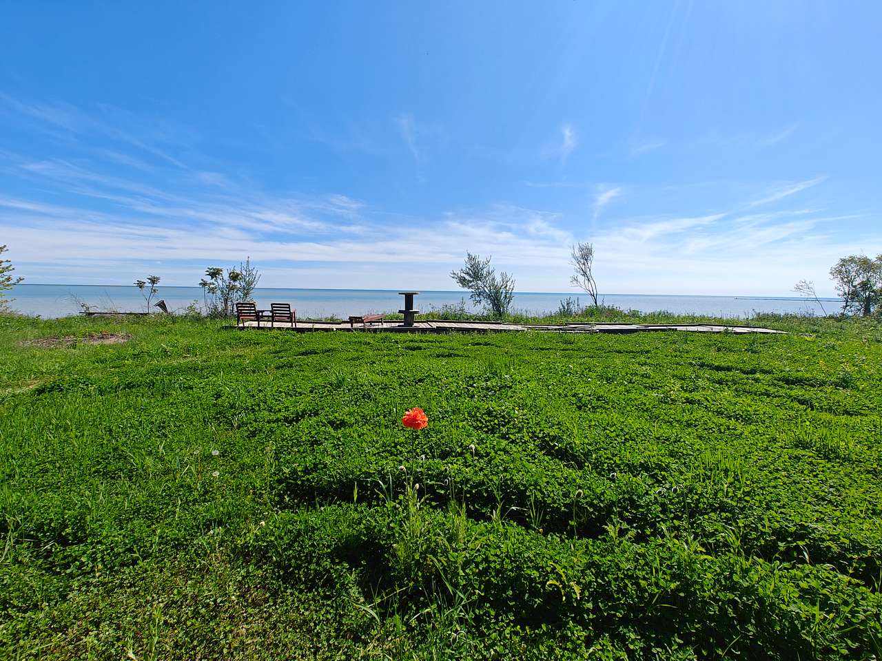 Picture of the site