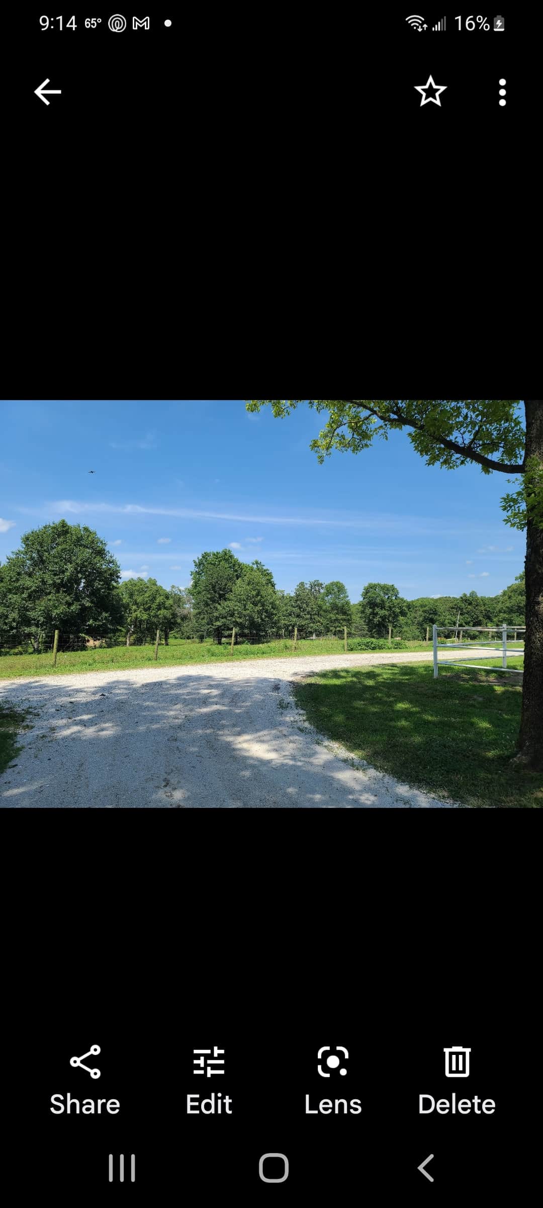 Picture of the site