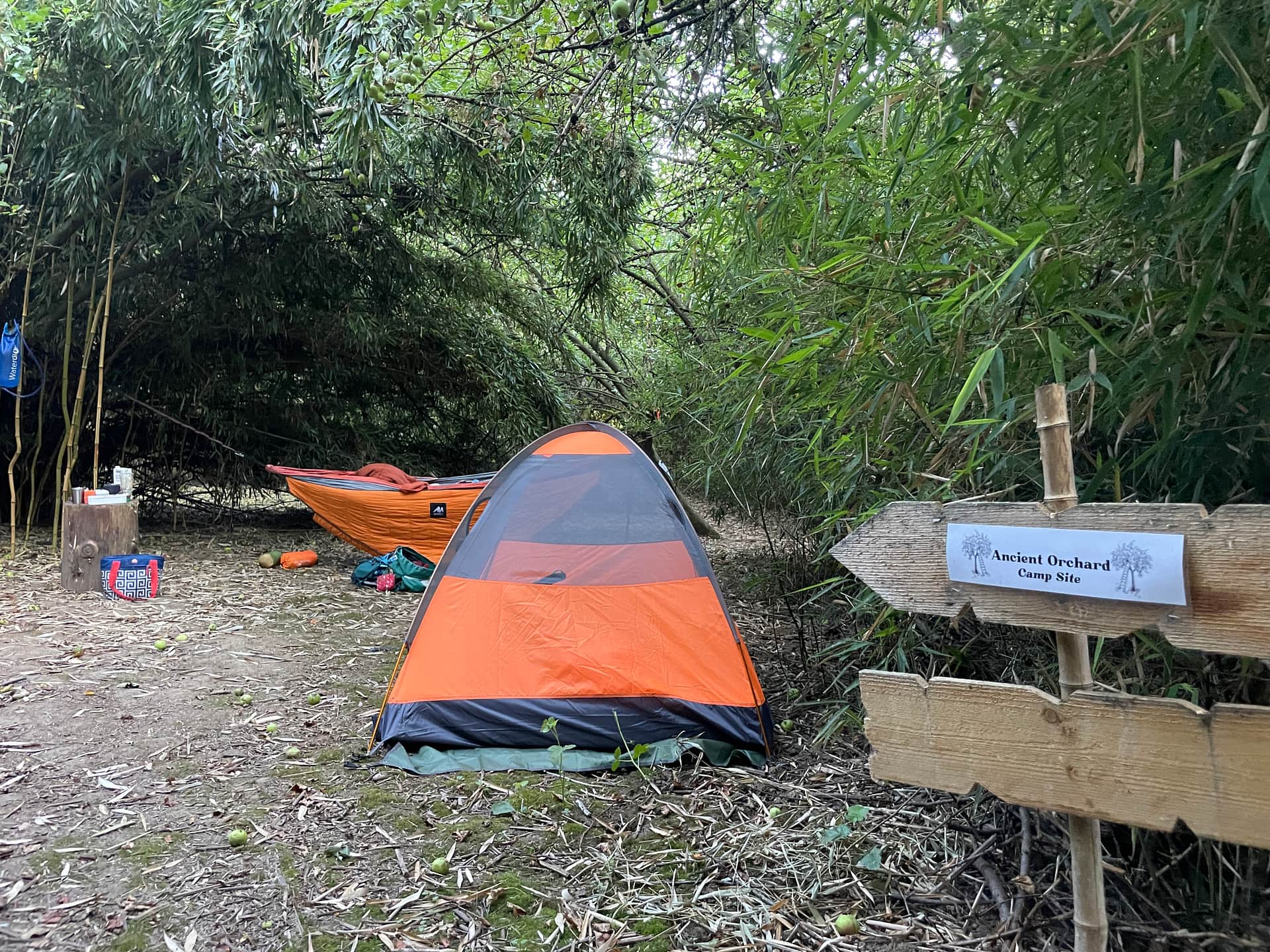 Picture of the site