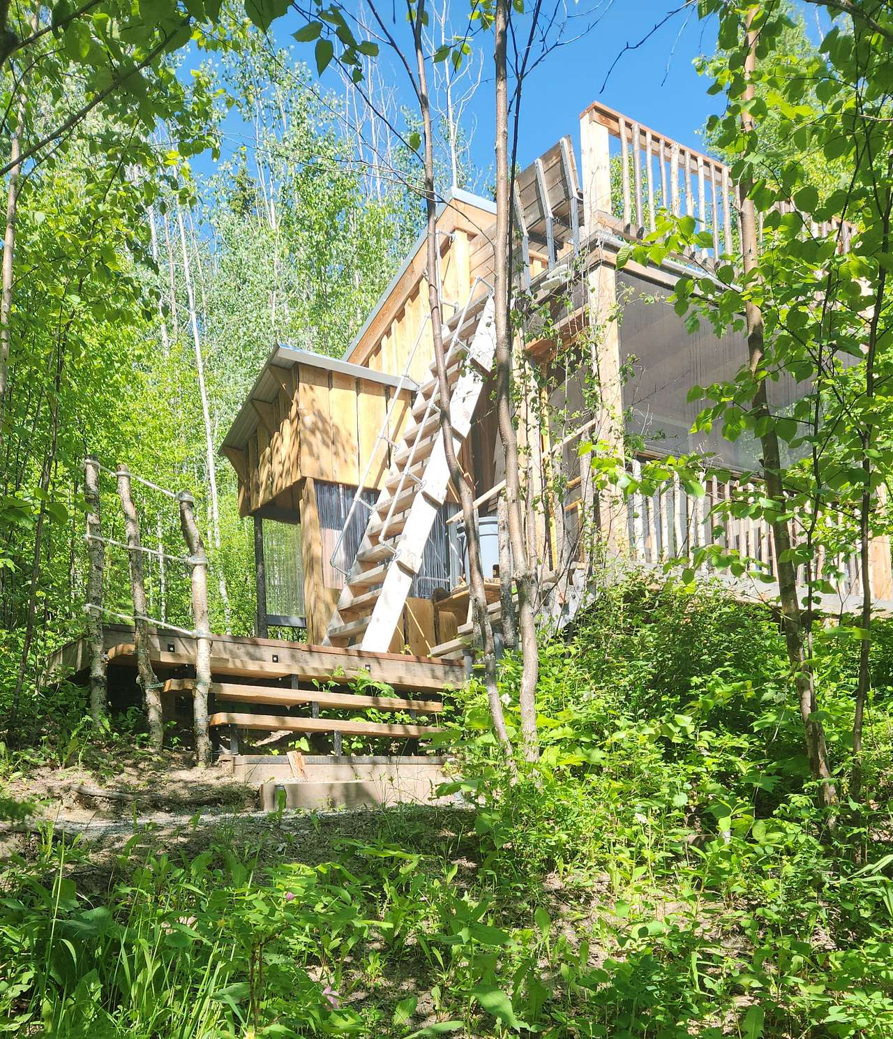 Picture of the site