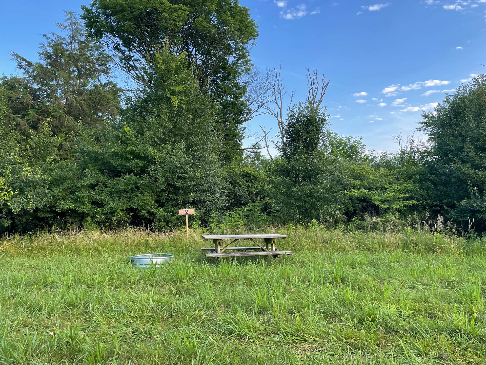 Picture of the site