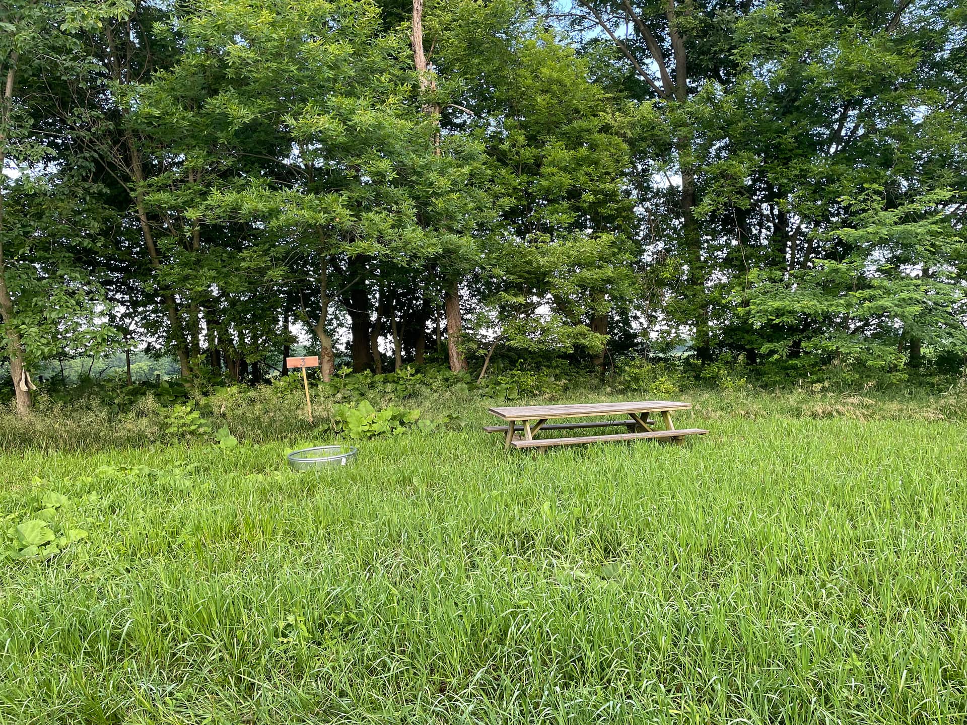 Picture of the site