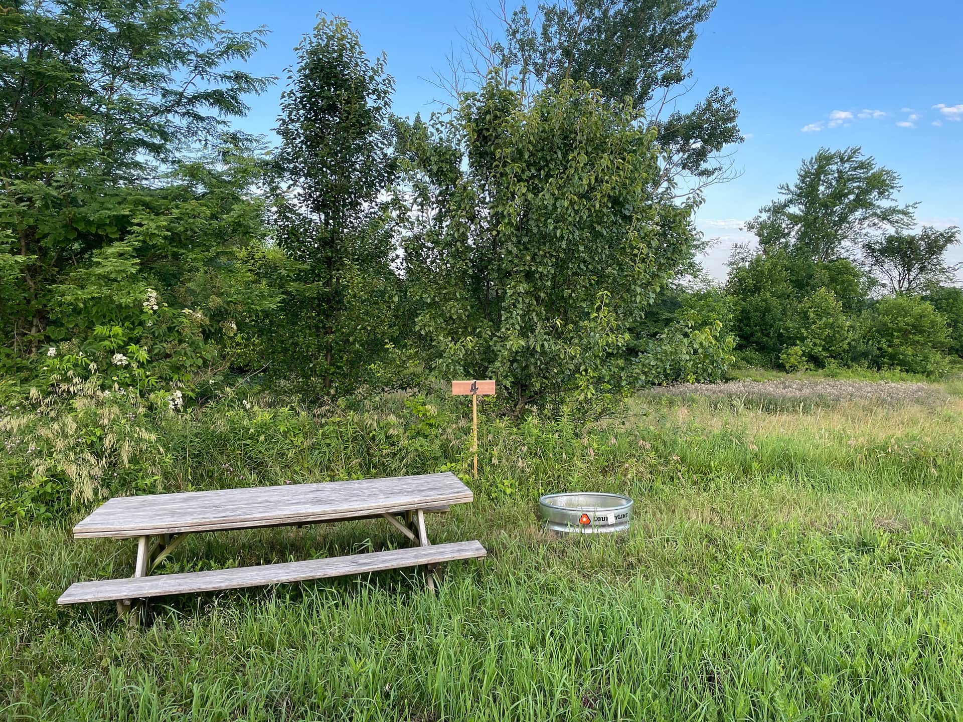 Picture of the site