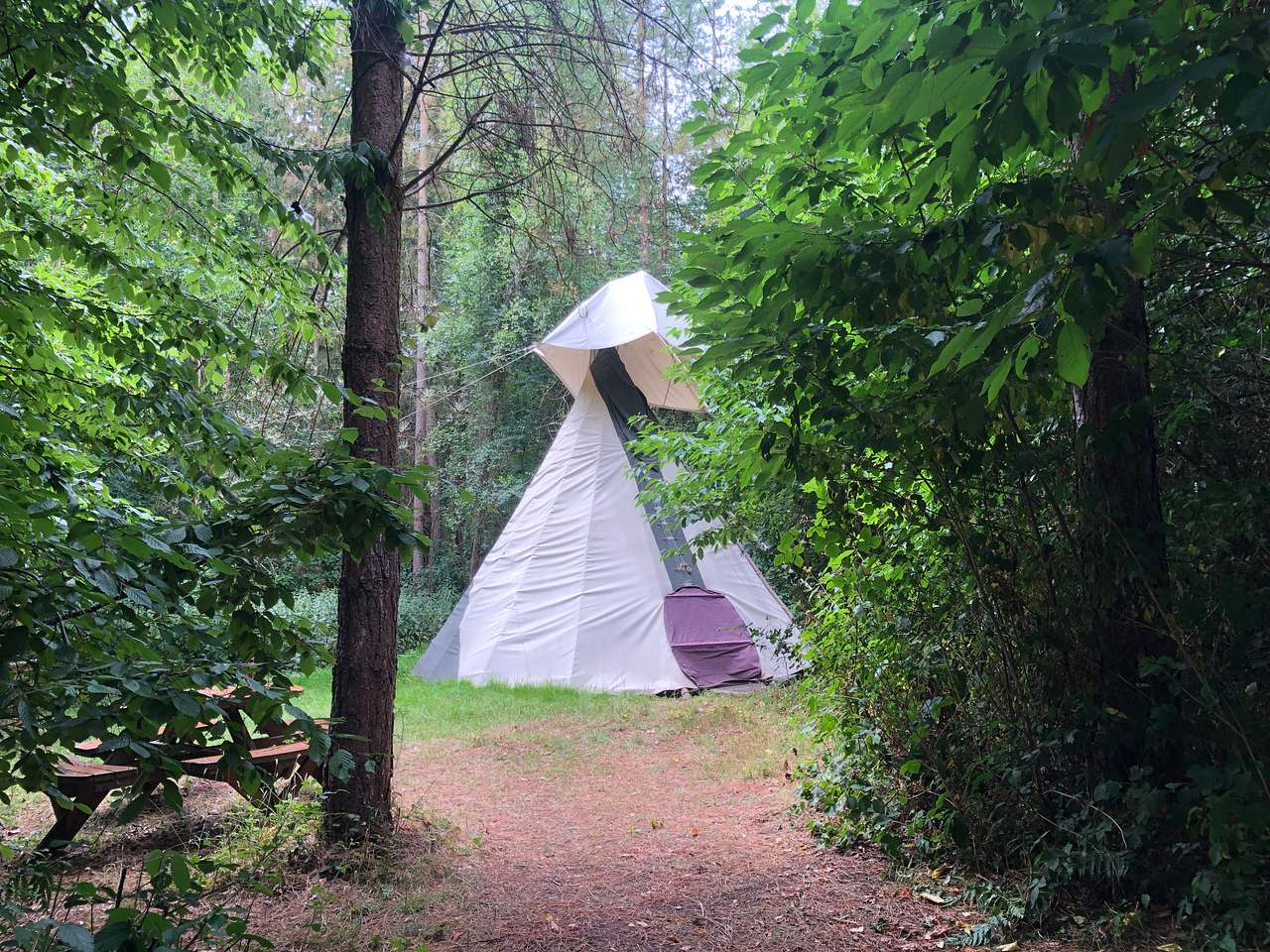 Picture of the site
