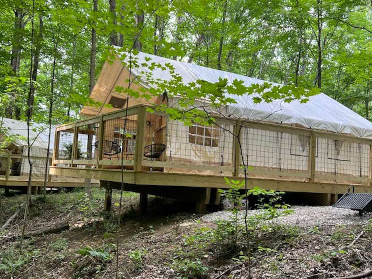 Picture of the site