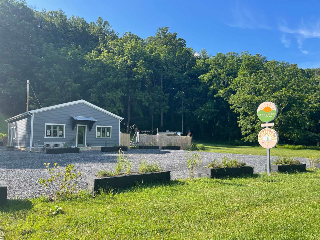 Picture of the site