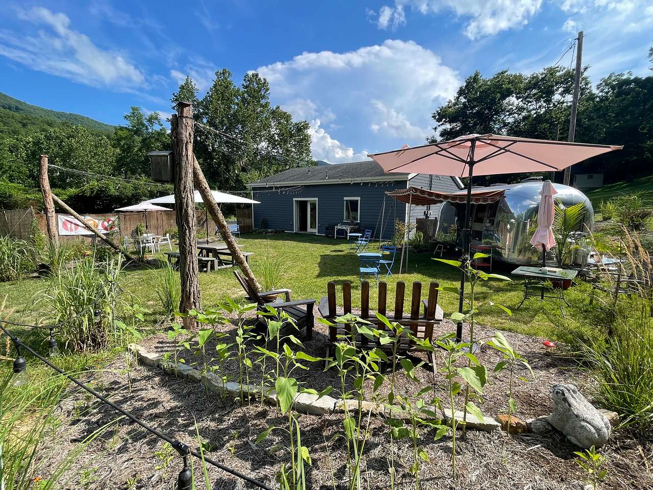 Picture of the site