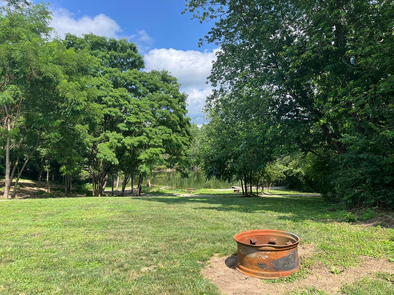 Picture of the site