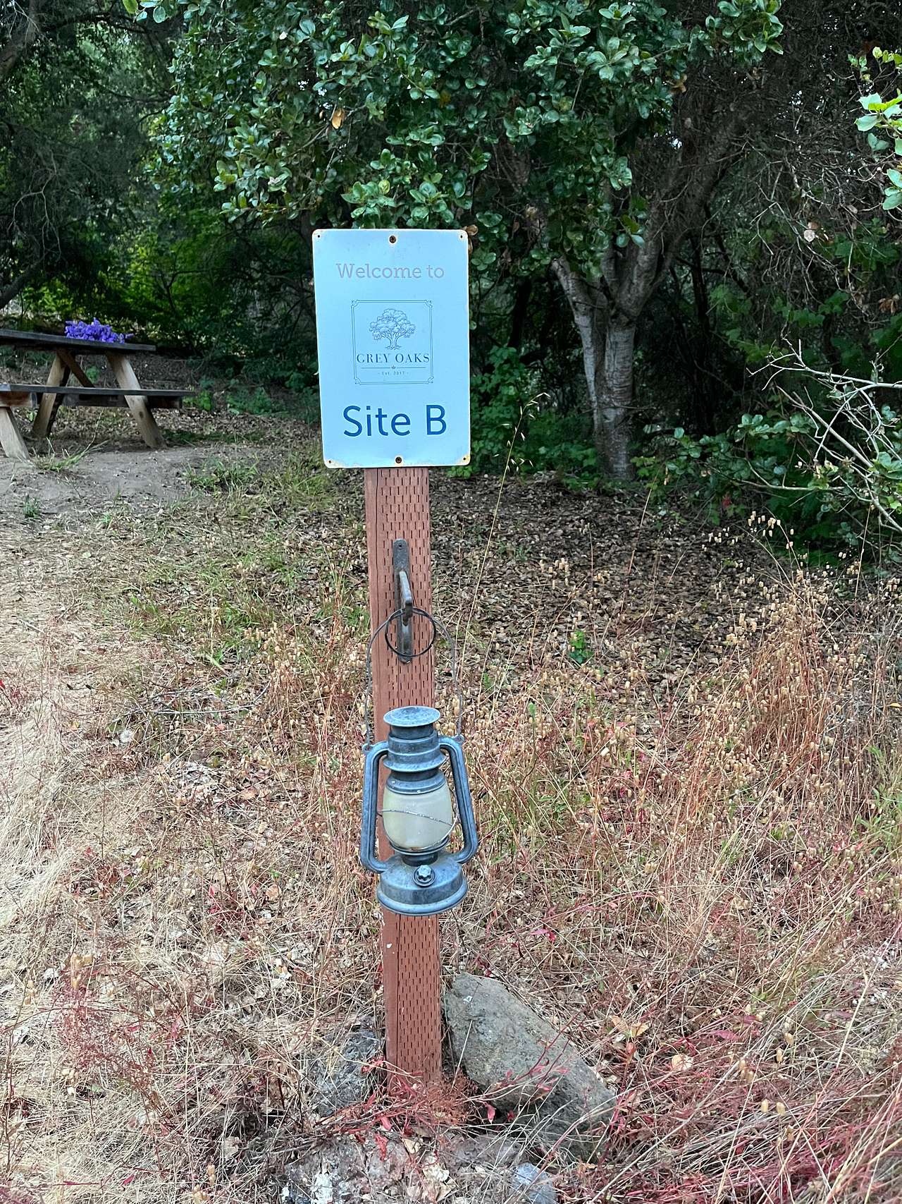 Picture of the site