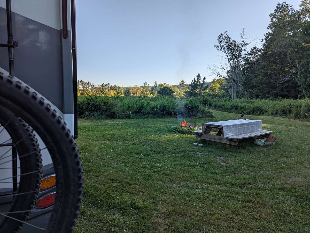 Picture of the site