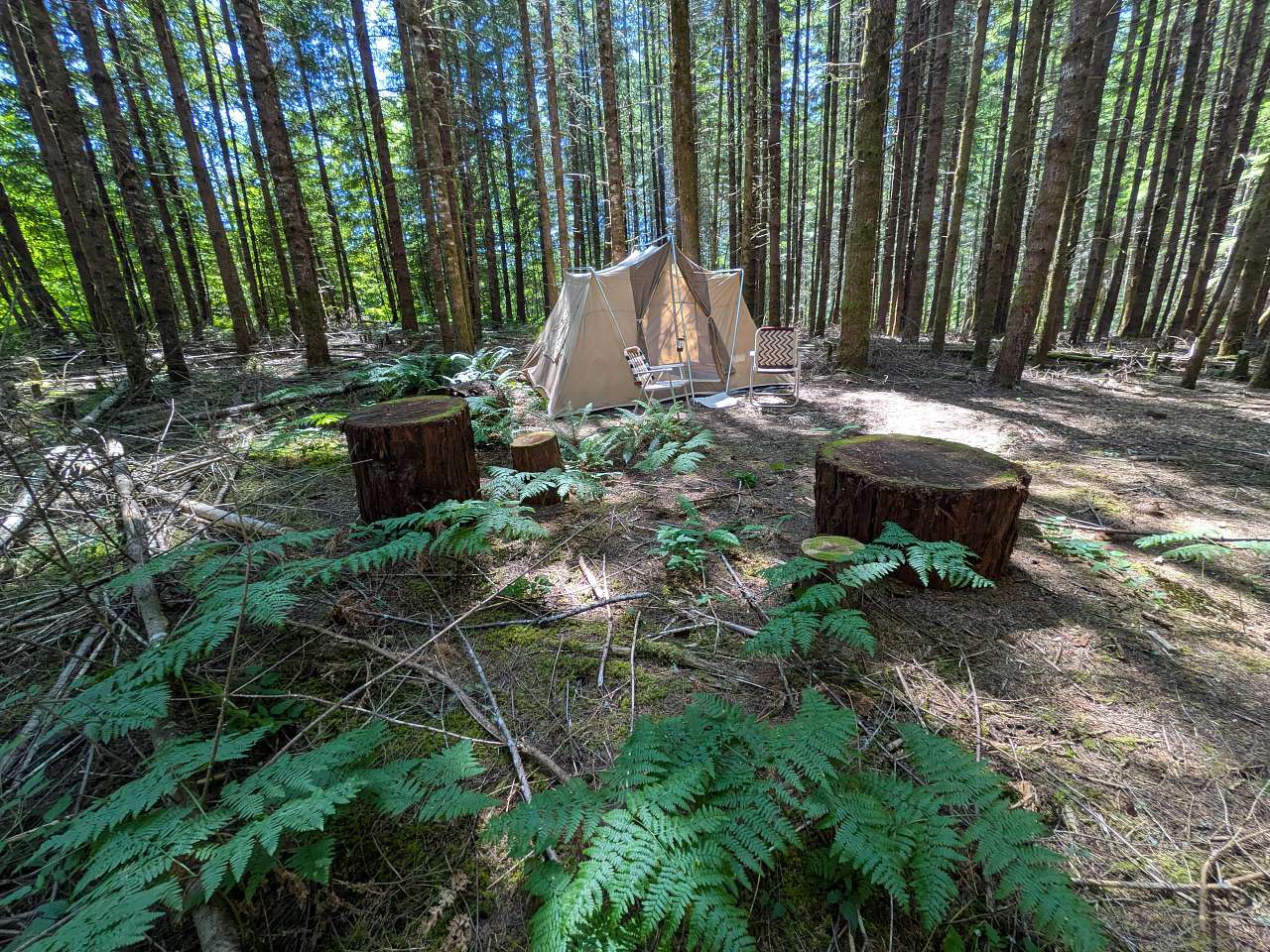 Picture of the site