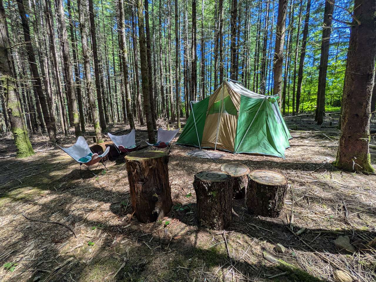 Picture of the site