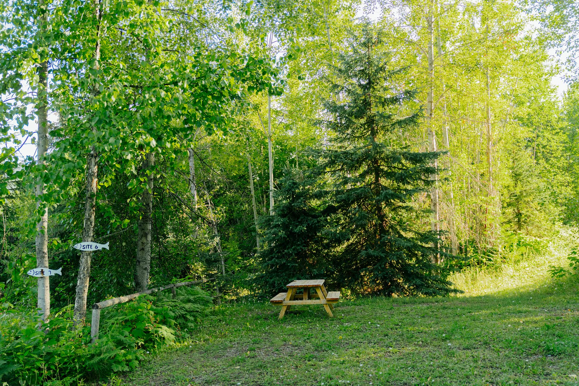 Picture of the site