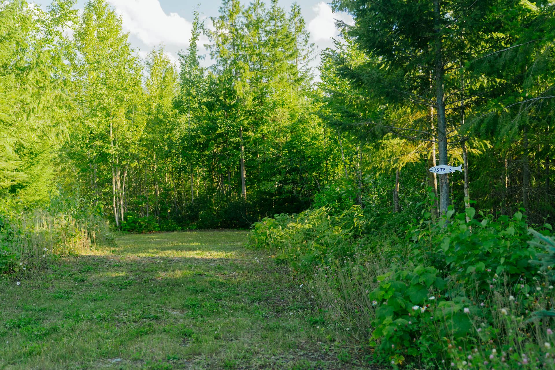 Picture of the site