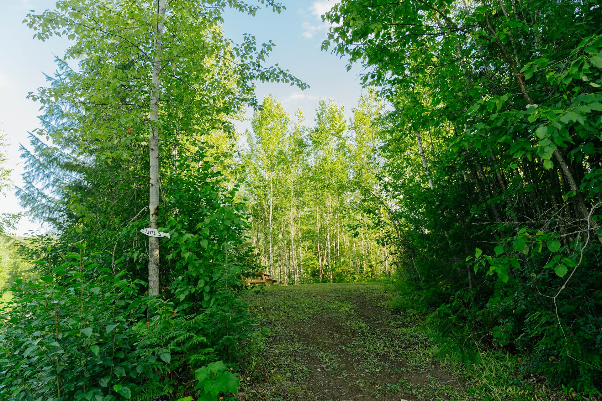 Picture of the site
