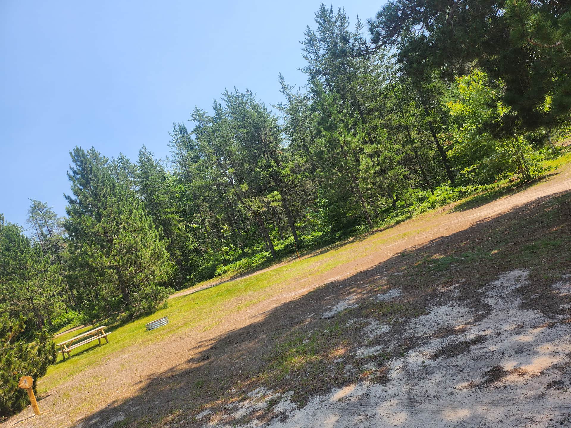 Picture of the site