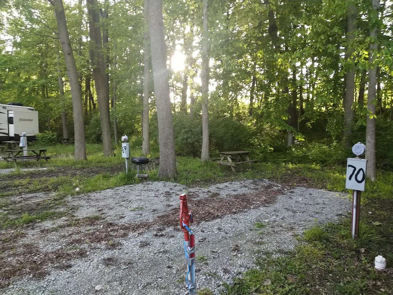 Picture of the site