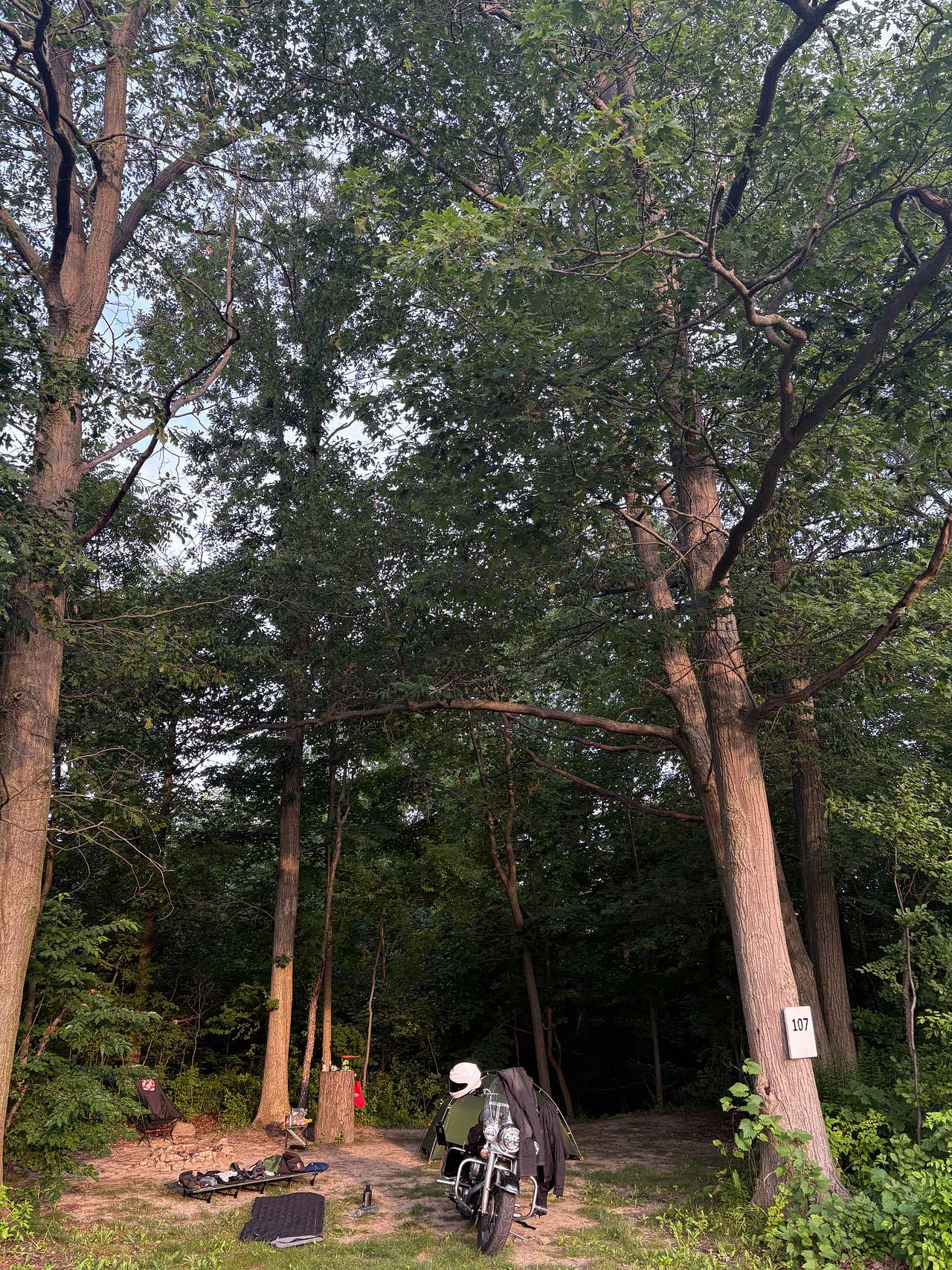 Picture of the site