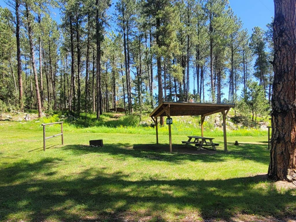 Picture of the site