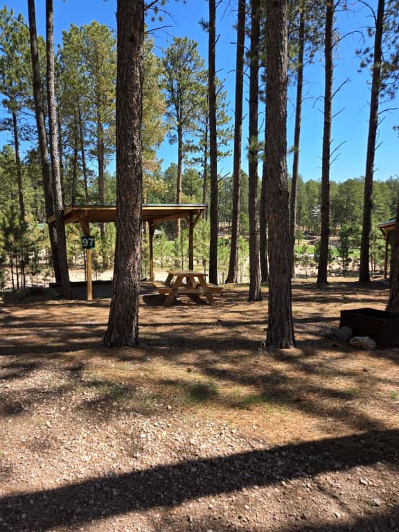 Picture of the site