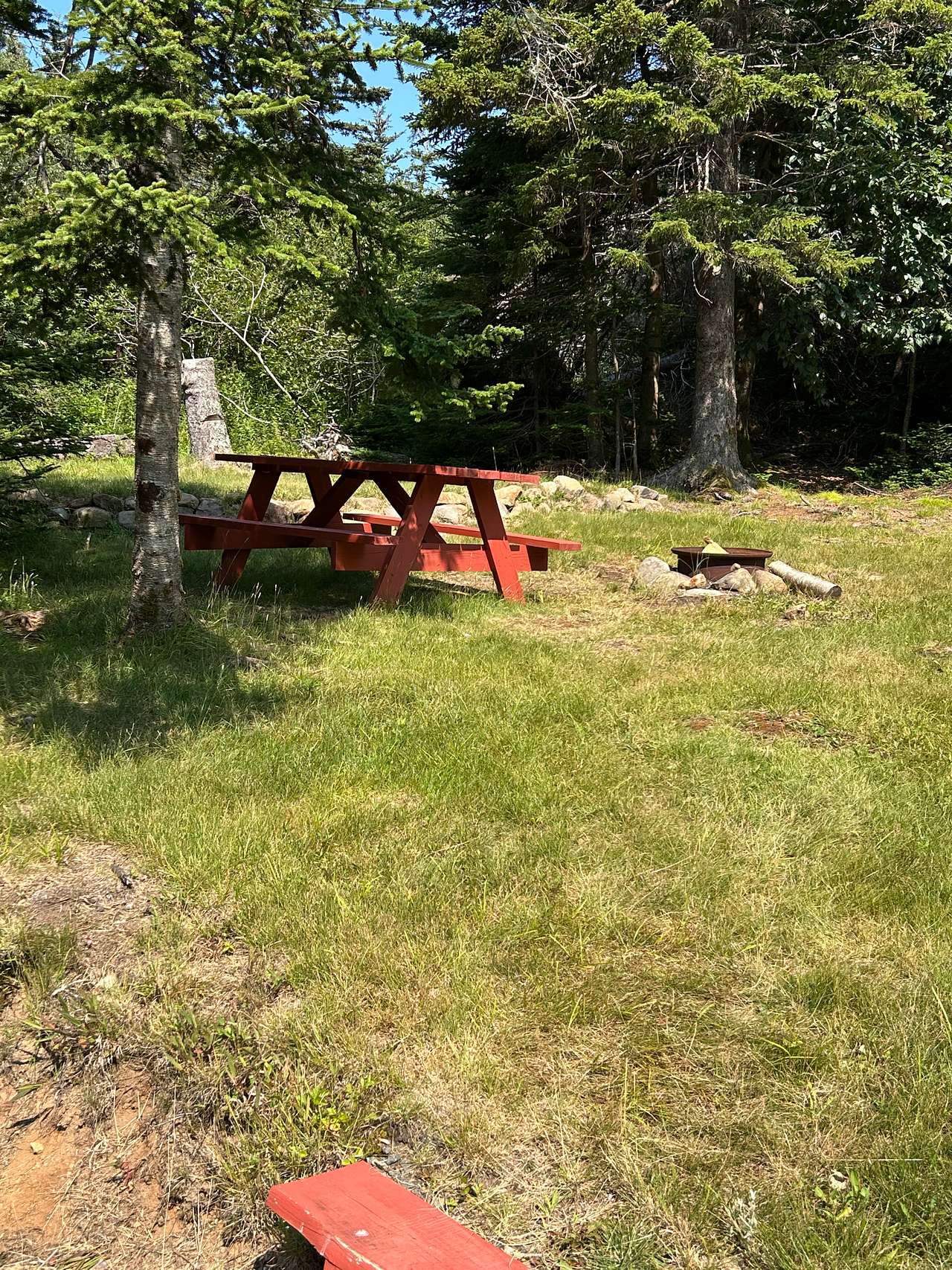 Picture of the site