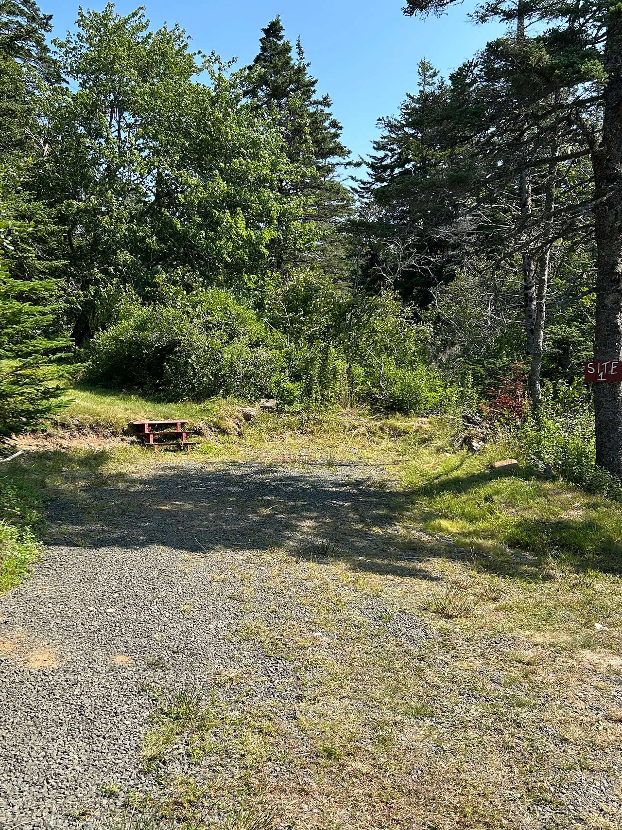 Picture of the site