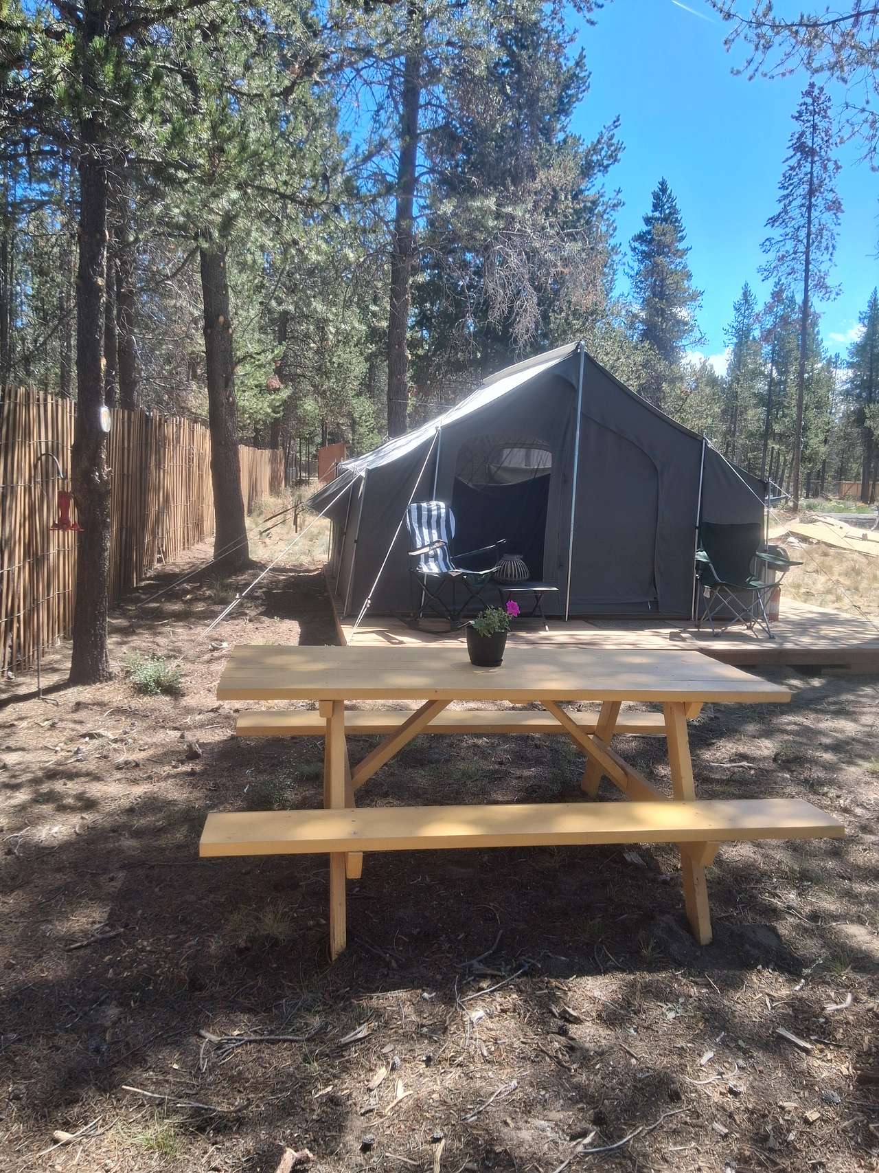Picture of the site