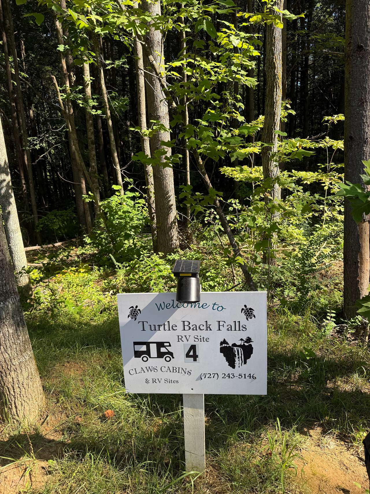 Picture of the site