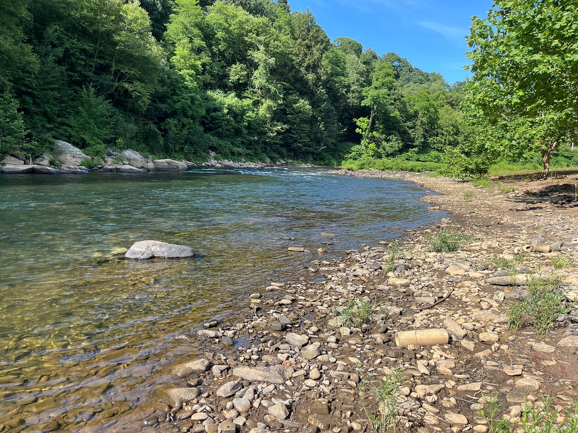 Picture of the site